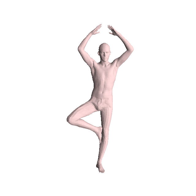 Input shape