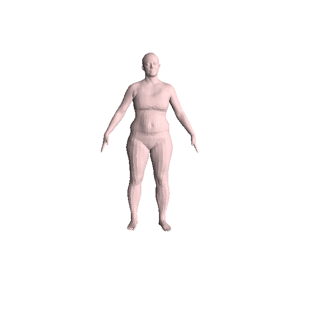 Input shape
