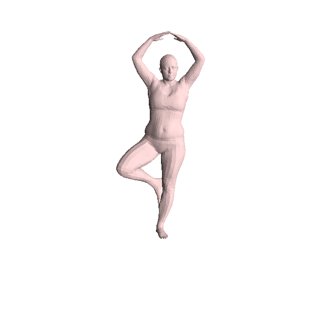 Input shape